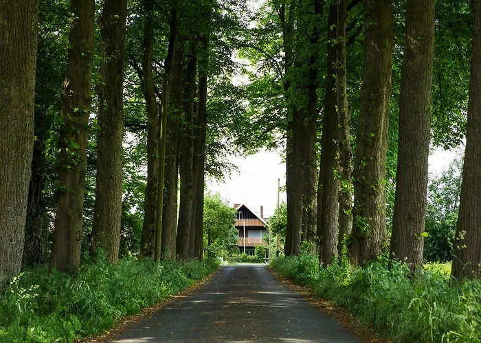 Hof Moddenborg 博霍尔特